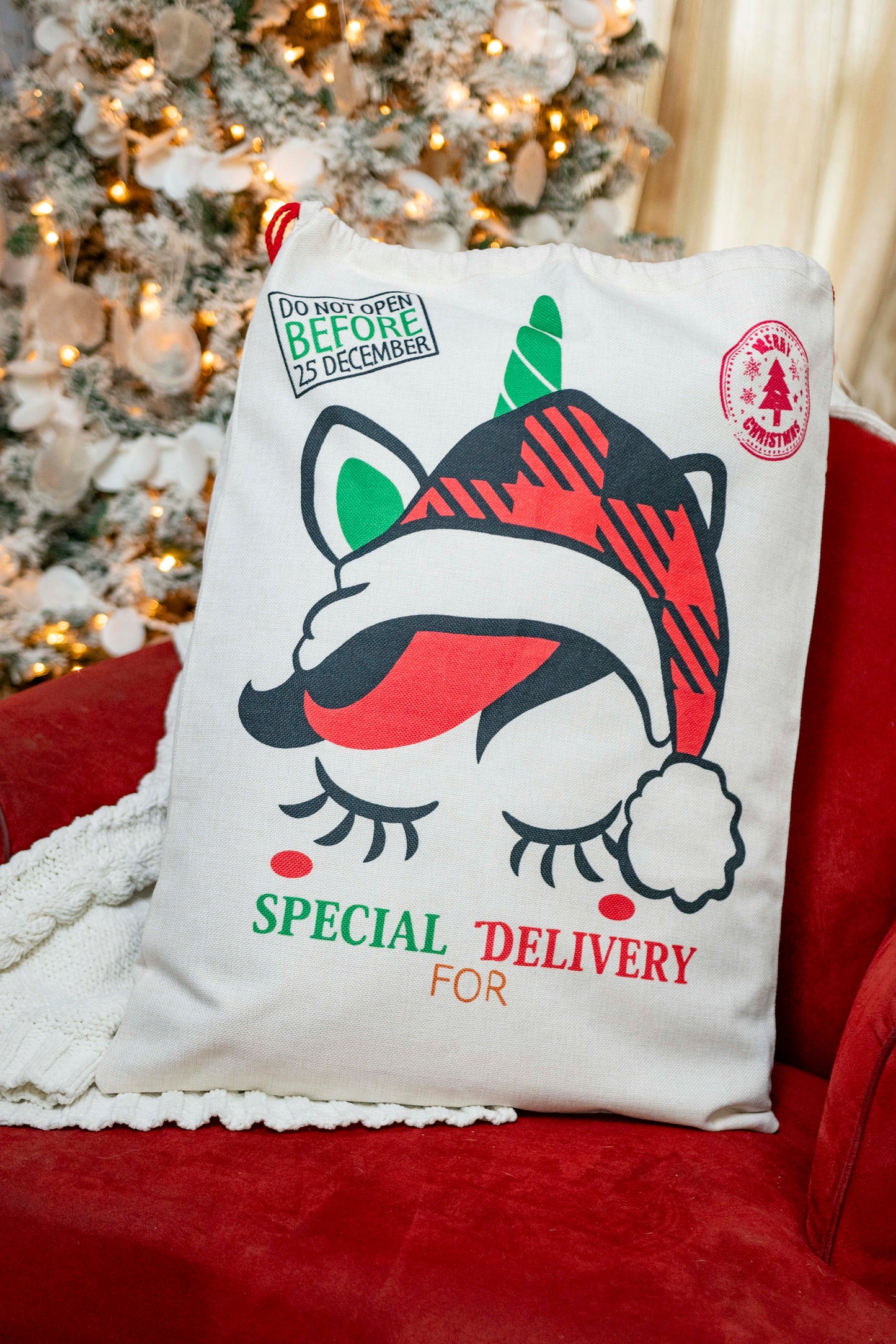 🎅Ready to Ship | Unicorn - 2024 Santa Sack