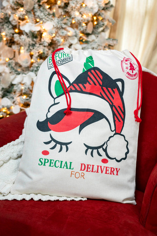 🎅Ready to Ship | Unicorn - 2024 Santa Sack