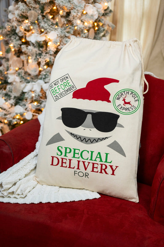 🎅 Ready to Ship | Shark - 2024 Santa Sack